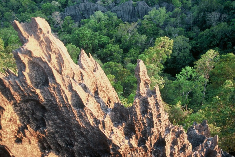 Photos de madagascar - Tsingy de Bemaraha