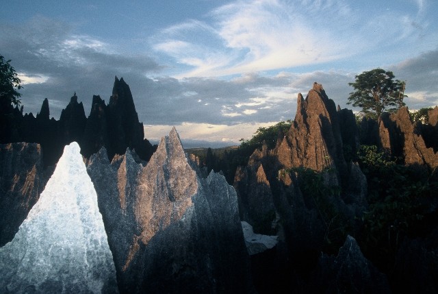 Photos de madagascar - Tsingy de Bemaraha