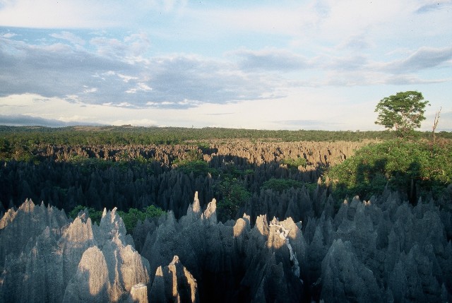 Photos de madagascar - Tsingy de Bemaraha