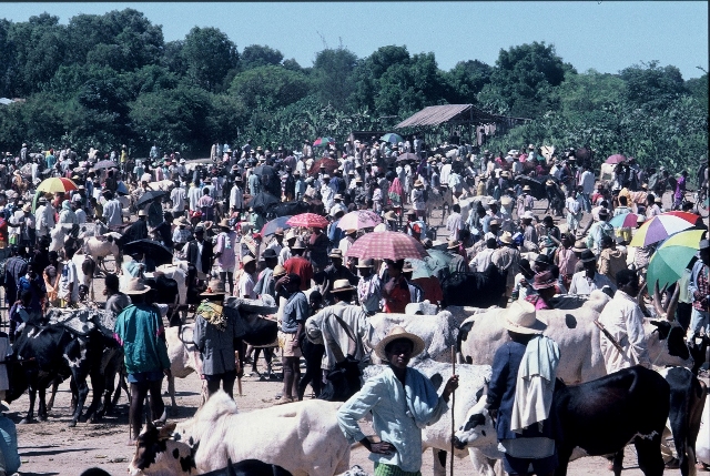 March aux zbus d'Ambovombe