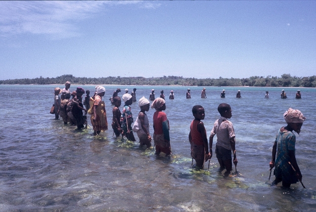 Pche traditionnelle  pied dans le lagon de Sainte Marie