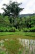 Photos de Madagascar - © Claire Lemontey & René Eulriet