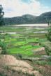 Photos de Madagascar - © Claire Lemontey & René Eulriet